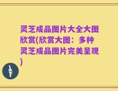 灵芝成品图片大全大图欣赏(欣赏大图：多种灵芝成品图片完美呈现)