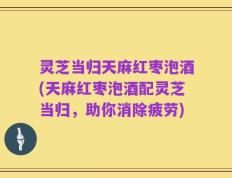 灵芝当归天麻红枣泡酒(天麻红枣泡酒配灵芝当归，助你消除疲劳)