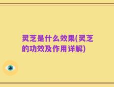 灵芝是什么效果(灵芝的功效及作用详解)