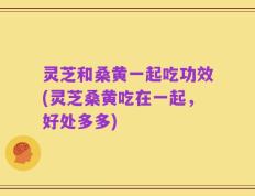 灵芝和桑黄一起吃功效(灵芝桑黄吃在一起，好处多多)