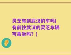 灵芝有到武汉的车吗(有前往武汉的灵芝车辆可乘坐吗？)