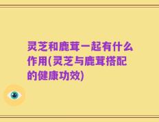 灵芝和鹿茸一起有什么作用(灵芝与鹿茸搭配的健康功效)