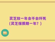 灵芝放一年会不会坏死(灵芝保质期一年？)