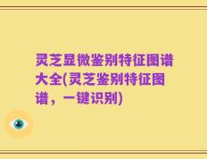 灵芝显微鉴别特征图谱大全(灵芝鉴别特征图谱，一键识别)