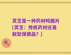 灵芝是一种药材吗图片(灵芝：传统药材还是新型保健品？)