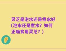 灵芝是泡水还是煮水好(泡水还是煮水？如何正确食用灵芝？)