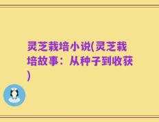 灵芝栽培小说(灵芝栽培故事：从种子到收获)
