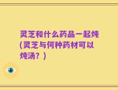 灵芝和什么药品一起炖(灵芝与何种药材可以炖汤？)