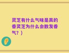 灵芝有什么气味是真的香灵芝为什么会散发香气？)