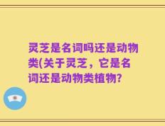 灵芝是名词吗还是动物类(关于灵芝，它是名词还是动物类植物？