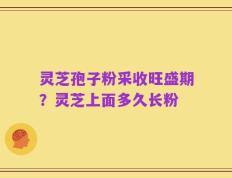 灵芝孢子粉采收旺盛期？灵芝上面多久长粉