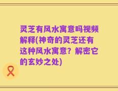 灵芝有风水寓意吗视频解释(神奇的灵芝还有这种风水寓意？解密它的玄妙之处)