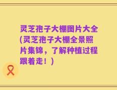 灵芝孢子大棚图片大全(灵芝孢子大棚全景照片集锦，了解种植过程跟着走！)