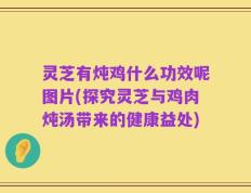 灵芝有炖鸡什么功效呢图片(探究灵芝与鸡肉炖汤带来的健康益处)