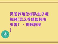 灵芝养殖怎样防虫子呢视频(灵芝养殖如何防虫害？ - 视频教程)