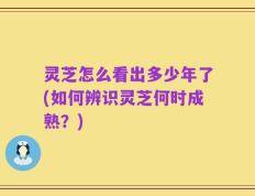 灵芝怎么看出多少年了(如何辨识灵芝何时成熟？)