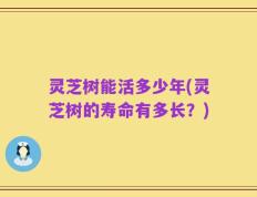灵芝树能活多少年(灵芝树的寿命有多长？)