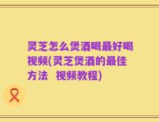 灵芝怎么煲酒喝最好喝视频(灵芝煲酒的最佳方法  视频教程)