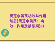 灵芝水黄芪功效与作用禁忌(灵芝水黄芪：功效、作用及禁忌须知)
