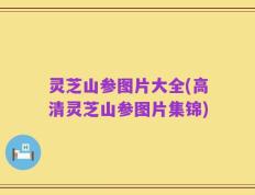 灵芝山参图片大全(高清灵芝山参图片集锦)