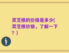 灵芝根的价格是多少(灵芝根价格，了解一下？)