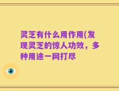 灵芝有什么用作用(发现灵芝的惊人功效，多种用途一网打尽