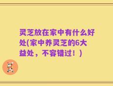 灵芝放在家中有什么好处(家中养灵芝的6大益处，不容错过！)