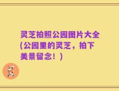 灵芝拍照公园图片大全(公园里的灵芝，拍下美景留念！)
