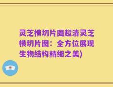 灵芝横切片图超清灵芝横切片图：全方位展现生物结构精细之美)