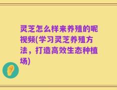 灵芝怎么样来养殖的呢视频(学习灵芝养殖方法，打造高效生态种植场)