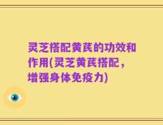灵芝搭配黄芪的功效和作用(灵芝黄芪搭配，增强身体免疫力)