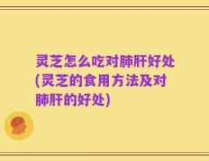 灵芝怎么吃对肺肝好处(灵芝的食用方法及对肺肝的好处)