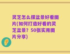 灵芝怎么摆盆景好看图片(如何打造好看的灵芝盆景？50张实用图片分享)
