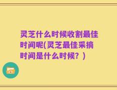 灵芝什么时候收割最佳时间呢(灵芝最佳采摘时间是什么时候？)