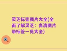 灵芝标签图片大全(全面了解灵芝：高清图片带标签一览大全)