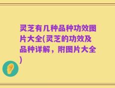 灵芝有几种品种功效图片大全(灵芝的功效及品种详解，附图片大全)