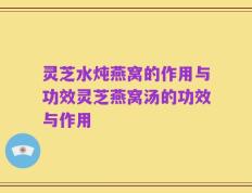 灵芝水炖燕窝的作用与功效灵芝燕窝汤的功效与作用