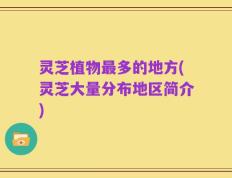 灵芝植物最多的地方(灵芝大量分布地区简介)