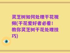 灵芝树如何处理干花视频(干花爱好者必看！教你灵芝树干花处理技巧)