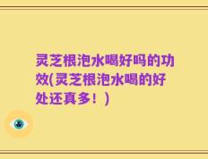 灵芝根泡水喝好吗的功效(灵芝根泡水喝的好处还真多！)