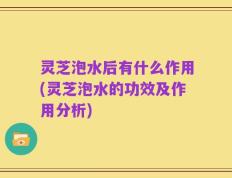 灵芝泡水后有什么作用(灵芝泡水的功效及作用分析)