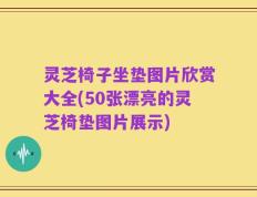 灵芝椅子坐垫图片欣赏大全(50张漂亮的灵芝椅垫图片展示)