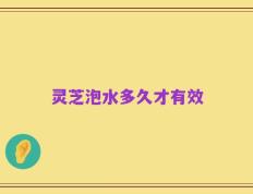 灵芝泡水多久才有效