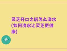 灵芝开口之后怎么浇水(如何浇水让灵芝更健康)