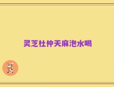 灵芝杜仲天麻泡水喝
