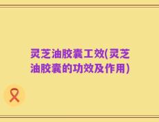 灵芝油胶囊工效(灵芝油胶囊的功效及作用)