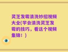 灵芝发霉清洗妙招视频大全(学会清洗灵芝发霉的技巧，看这个视频集锦！)