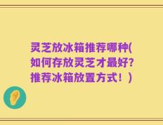 灵芝放冰箱推荐哪种(如何存放灵芝才最好？推荐冰箱放置方式！)