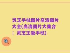 灵芝手杖图片高清图片大全(高清图片大集合：灵芝主题手杖)