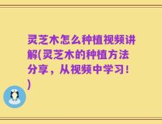 灵芝木怎么种植视频讲解(灵芝木的种植方法分享，从视频中学习！)